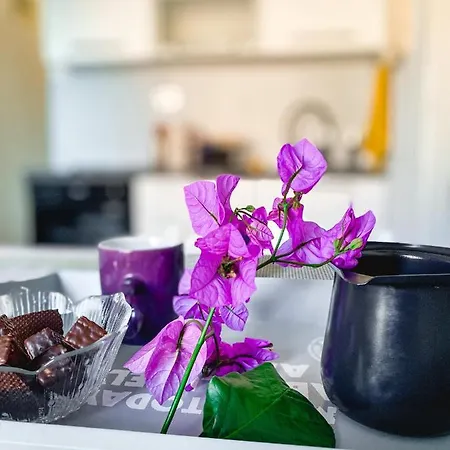 Modern Seaview 萨利