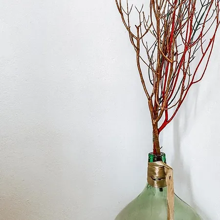 公寓 Modern Seaview 萨利