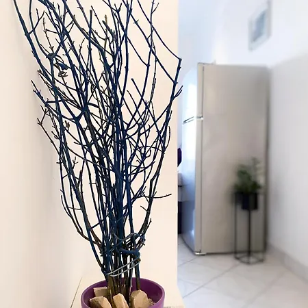 Modern Seaview 公寓